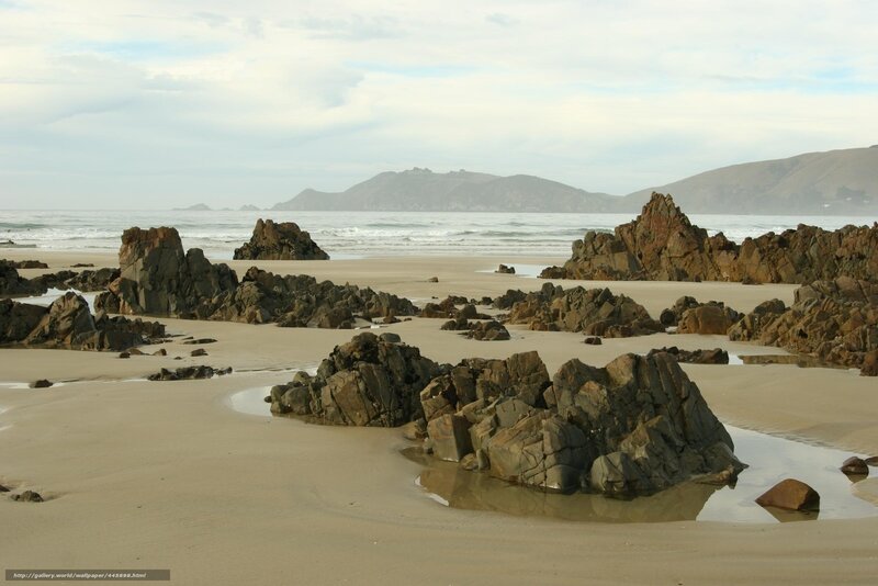 Rocky Beach at Low Tide — Beige