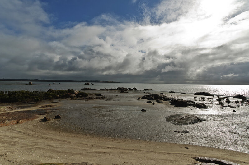 Rocky Beach at Low Tide — Blue, Dramatic
