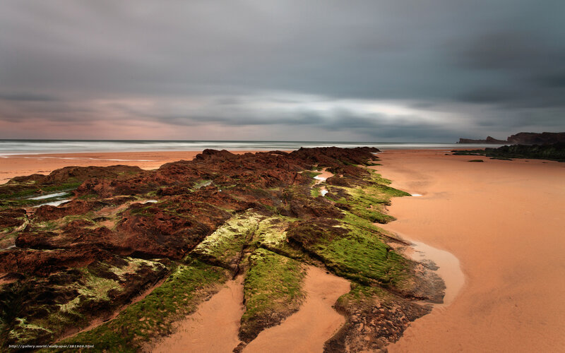 Rocky Beach at Low Tide — Brown