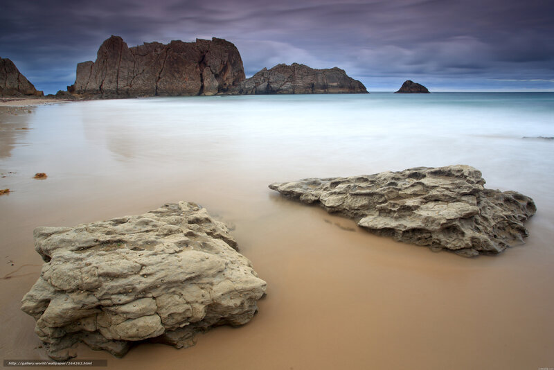 Rocky Beach at Low Tide — Gray, Dramatic