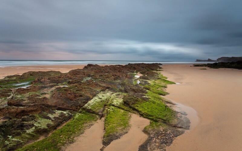 Rocky Beach at Low Tide — Green