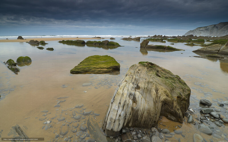 Rocky beach at low tide