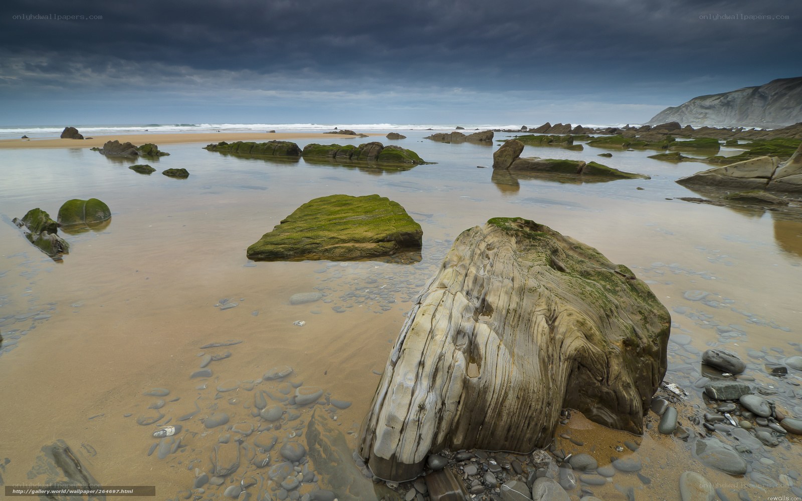 Rocky beach at low tide