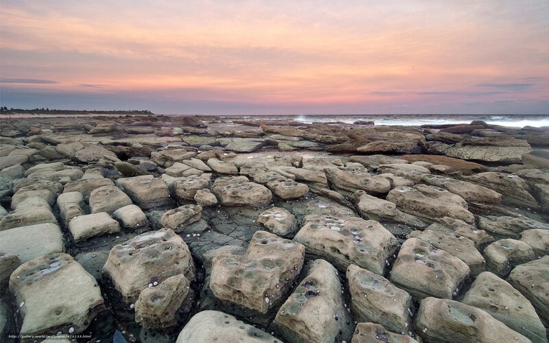 Rocky beach at sunset