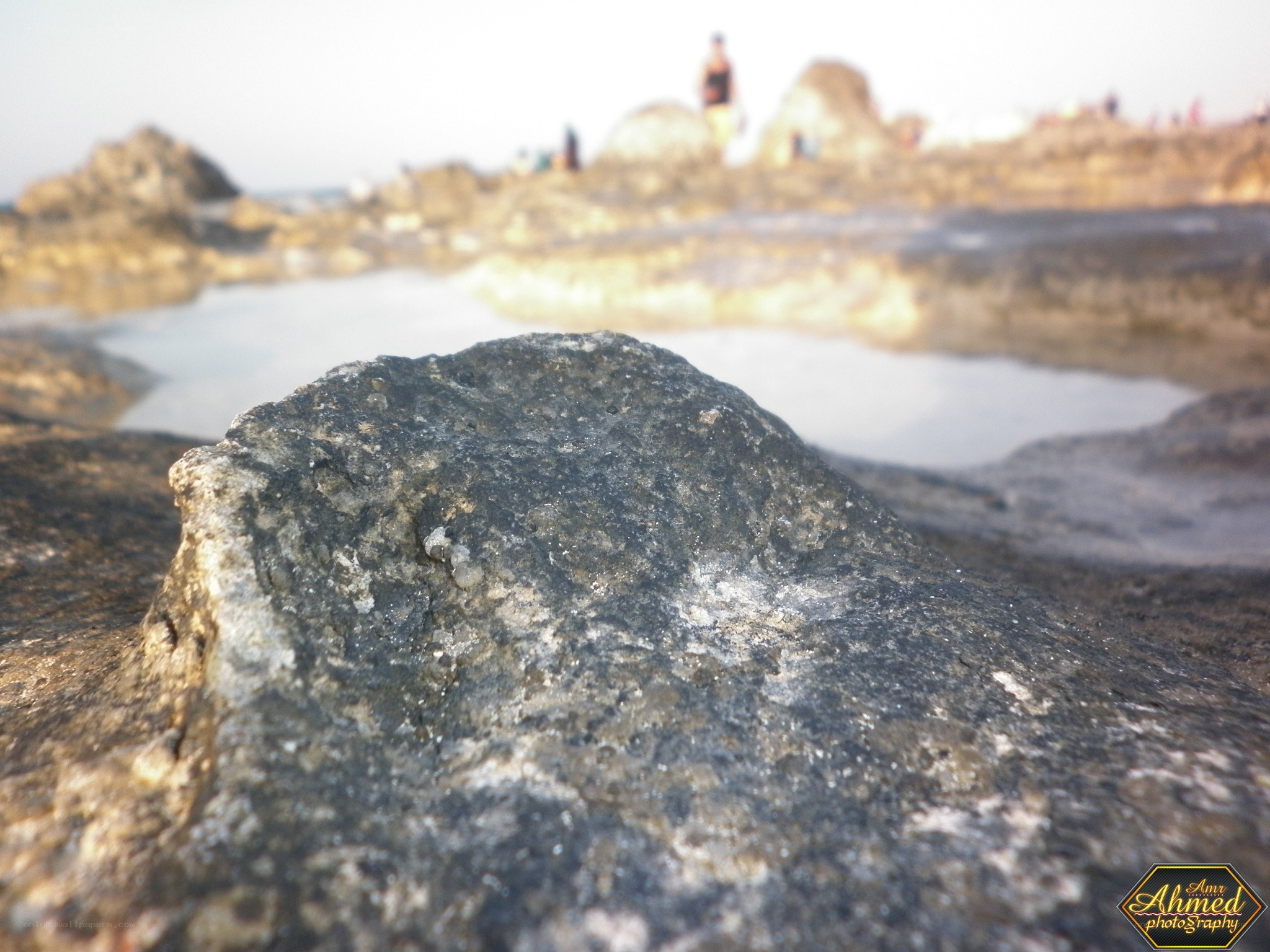 rocky beach at sunset