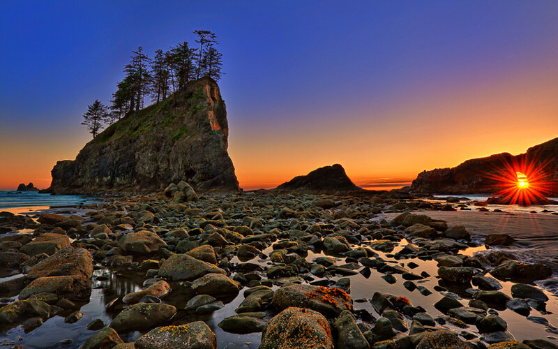 Rocky Beach at Sunset — Blue, Dramatic, Photograph, Sun, Trees