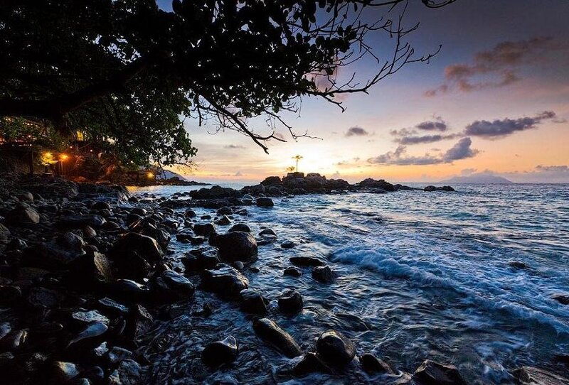 Rocky Beach at Sunset — Blue, Serene, Photograph, Tree