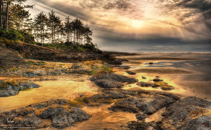 Rocky Beach at Sunset — Gold, Dramatic, Photograph, Trees
