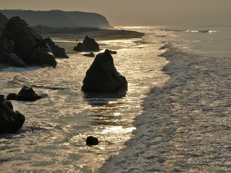 Rocky Beach at Sunset — Gold, Serene