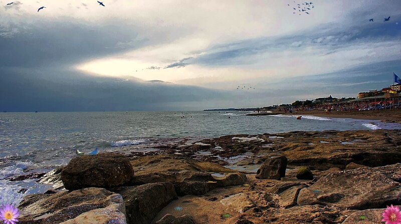 Rocky Beach at Sunset — Gray, Dramatic, Photograph, Birds