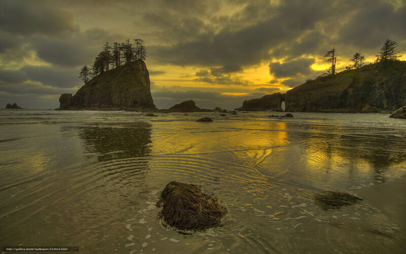 Rocky Beach at Sunset — Yellow, Dramatic, Photograph, Rocks, Trees