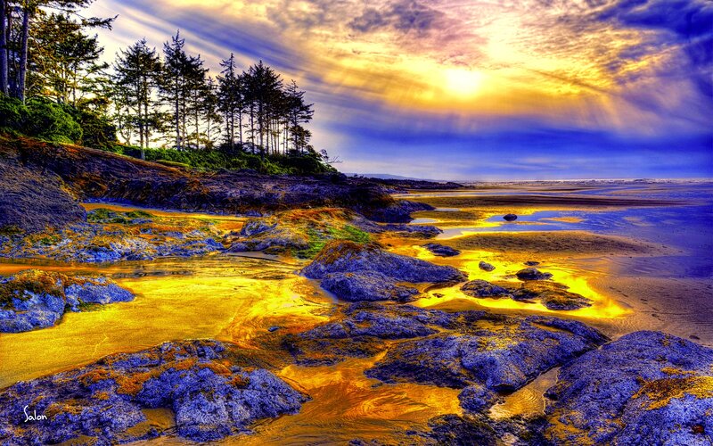 Rocky Beach at Sunset — Yellow, Dramatic, Photograph, Trees