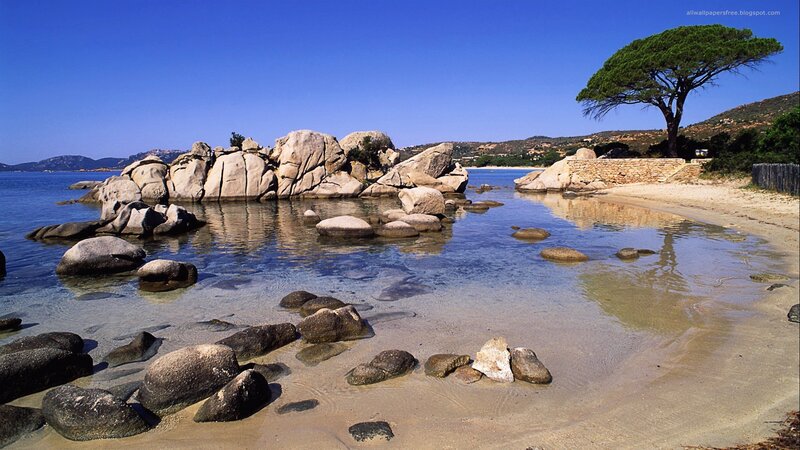 Rocky Beach Cove — Blue, Serene, Afternoon