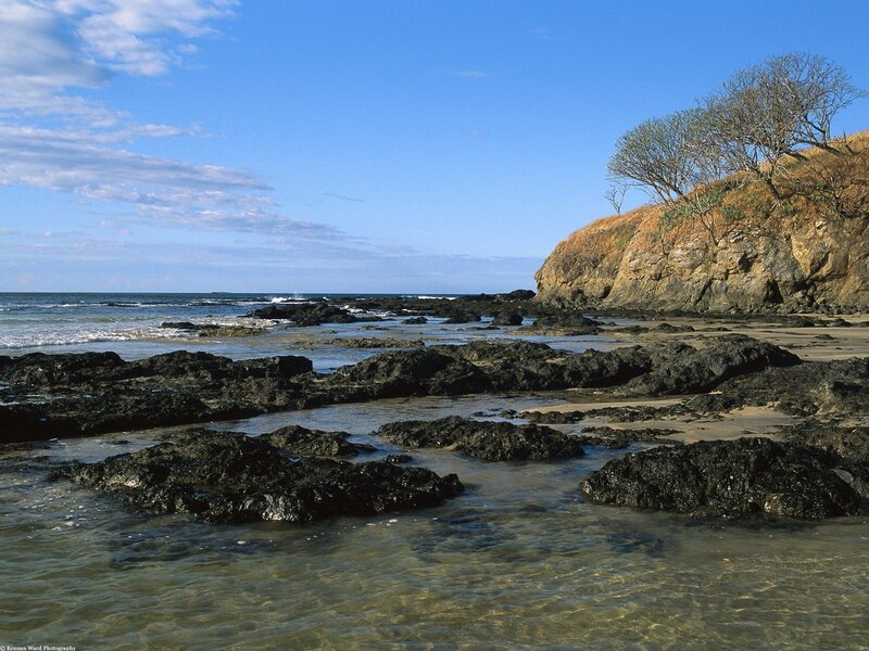 Rocky Beach Shoreline — Blue, Serene, Afternoon, Photograph, Rocks
