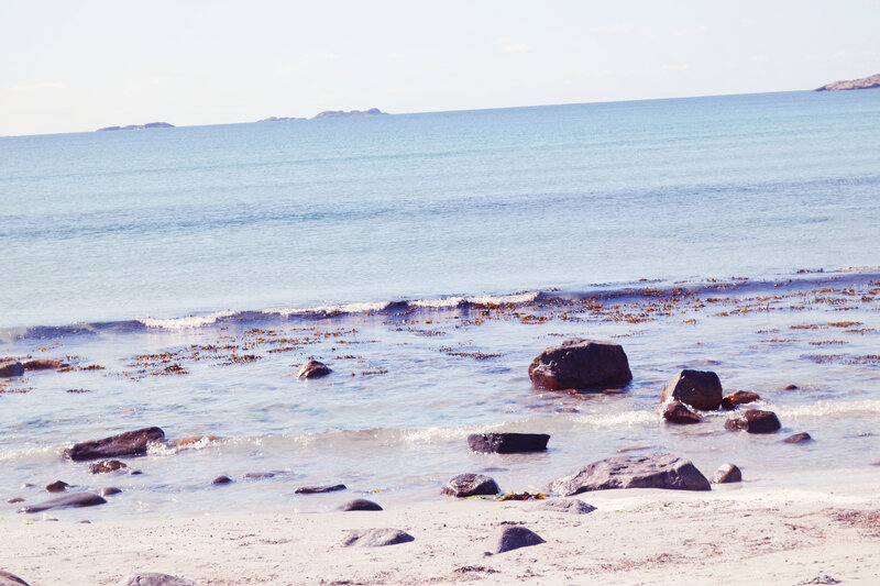 Rocky Beach Shoreline — Blue