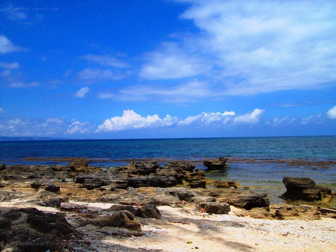 rocky beach under blue sky