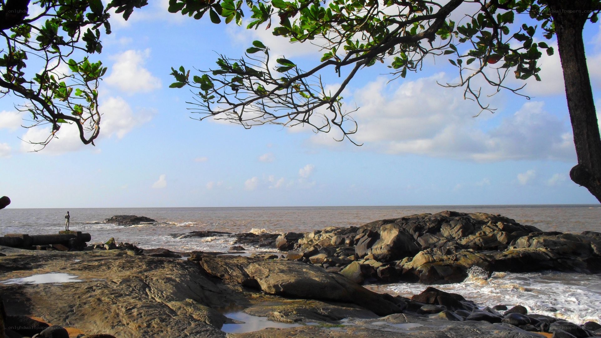 Rocky beach under tree canopy