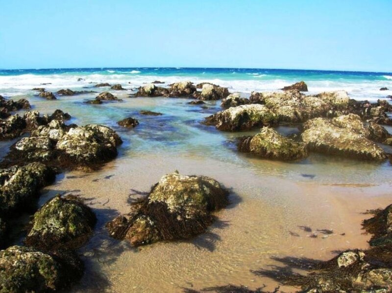 rocky beach with clear water