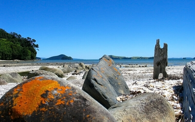 Rocky Beach with Driftwood — Blue