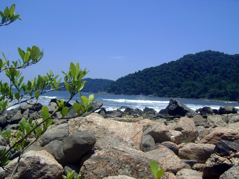 Rocky Beach with Ocean — Blue