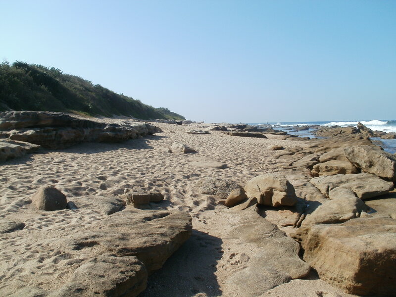 Rocky Beach with Ocean — Brown
