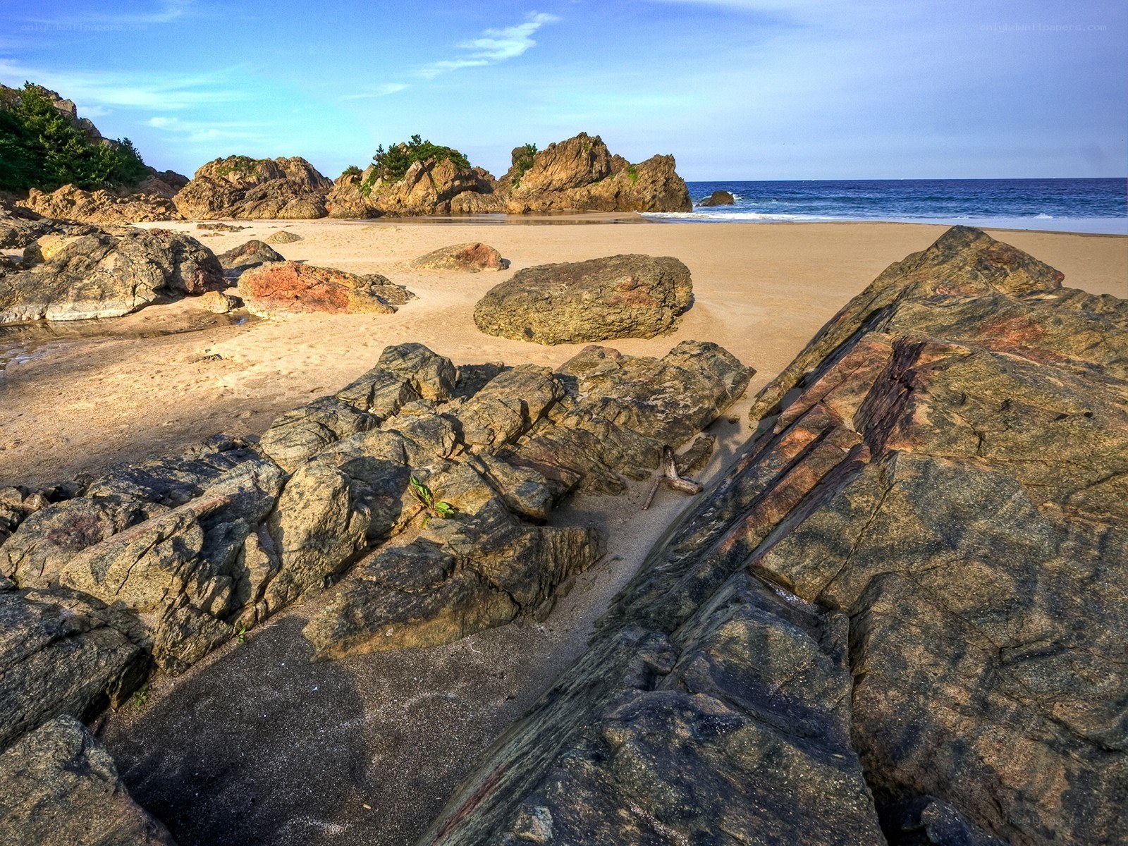 Rocky beach with ocean view