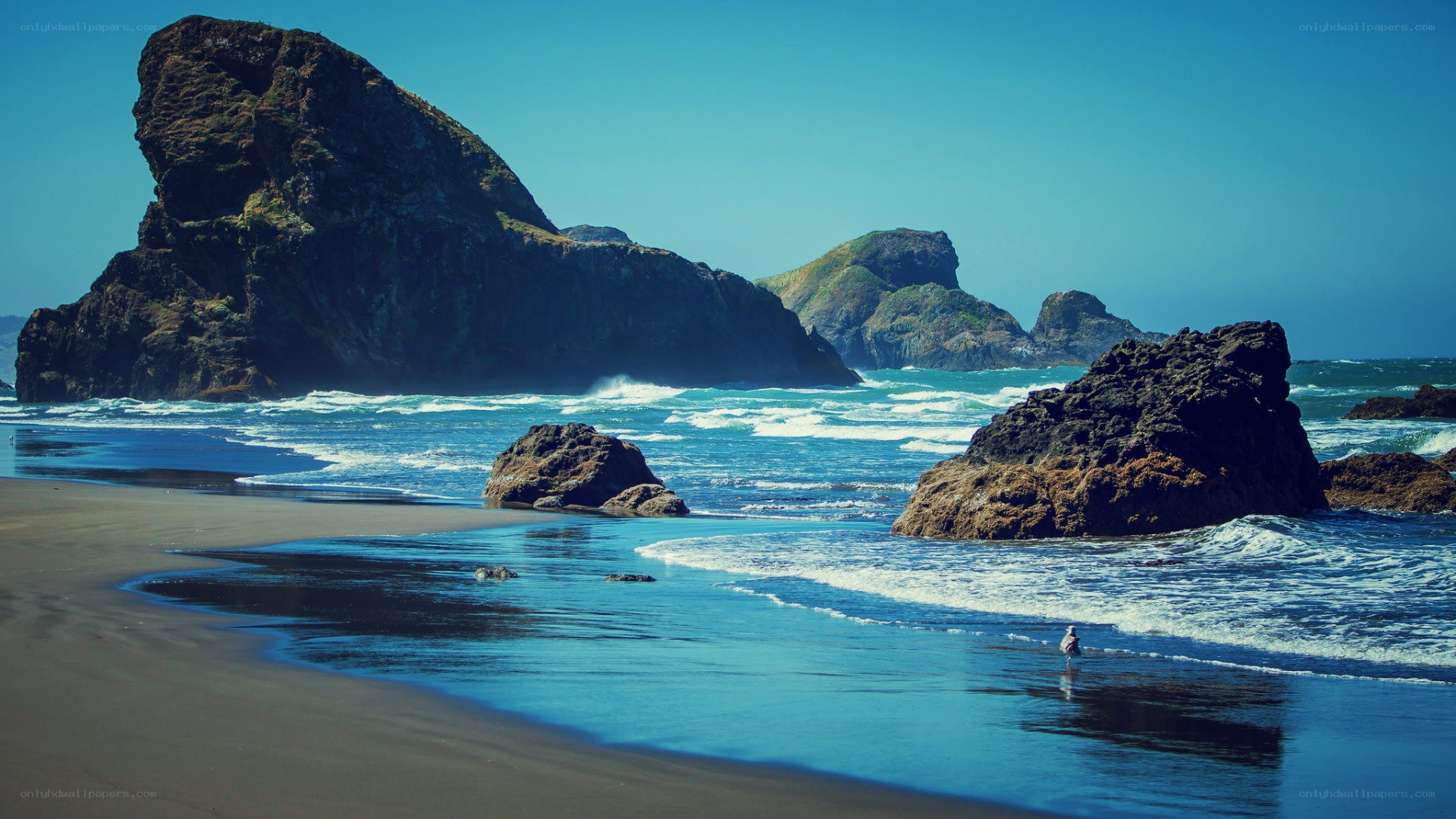 Rocky beach with ocean waves