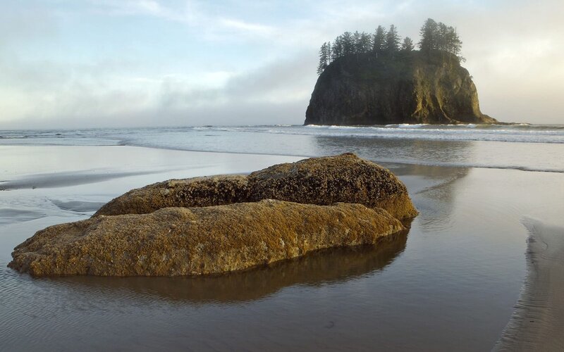Rocky beach with sea stack