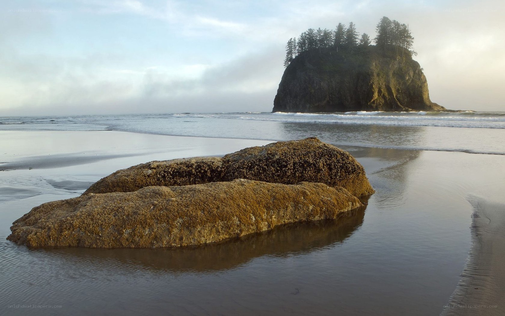 Rocky beach with sea stack
