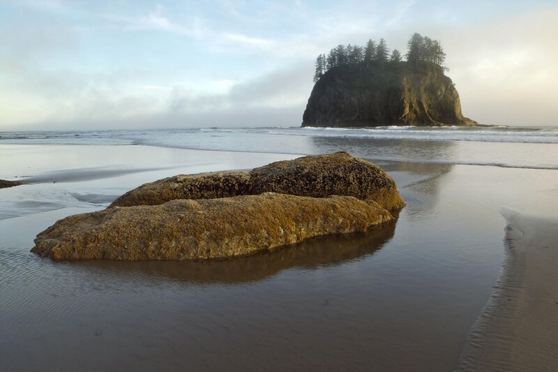 Rocky beach with sea stack