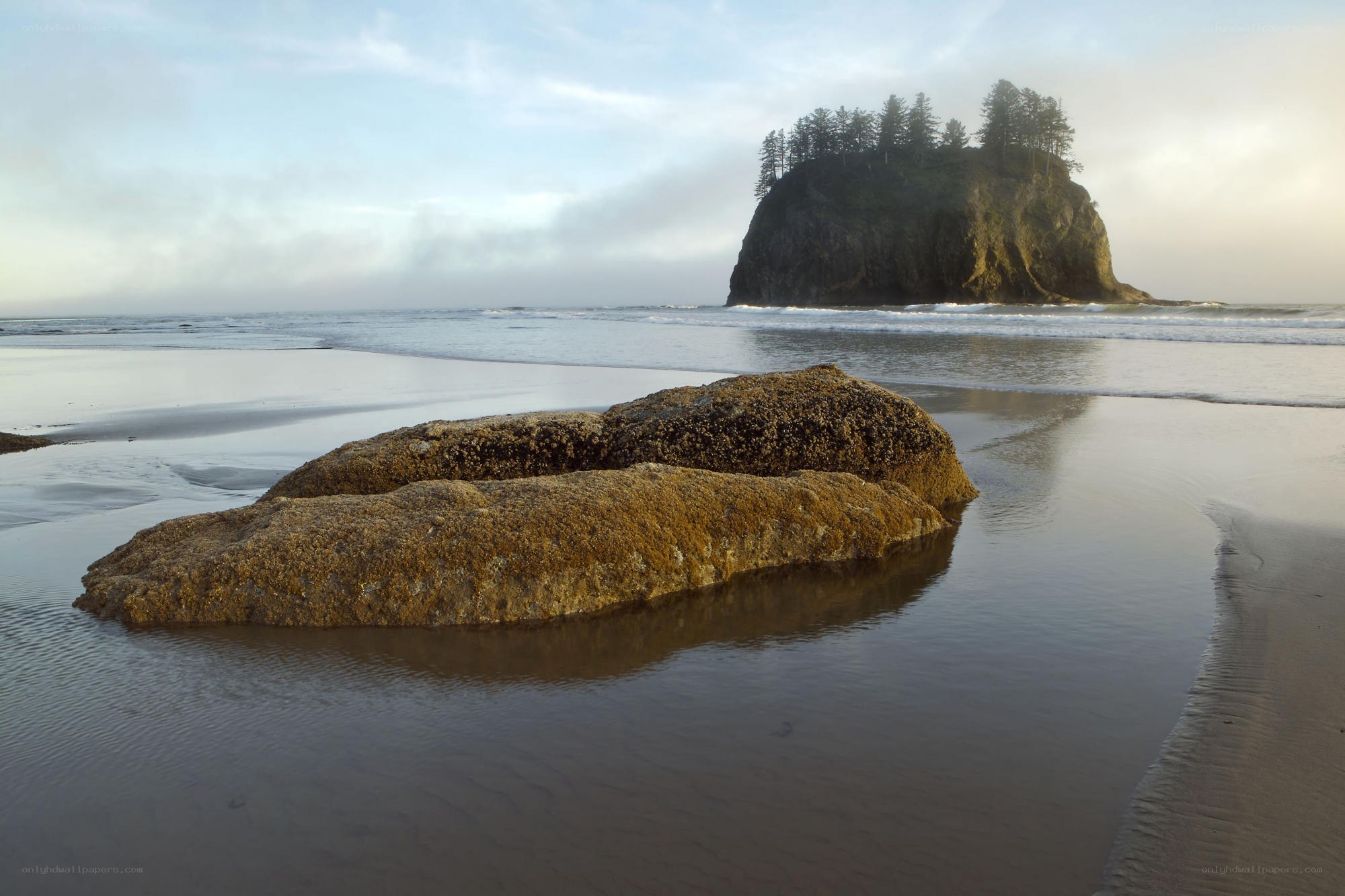 Rocky beach with sea stack
