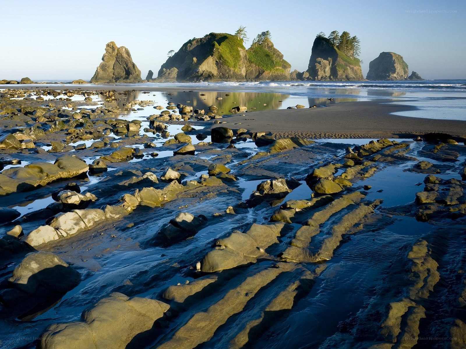 Rocky beach with sea stacks