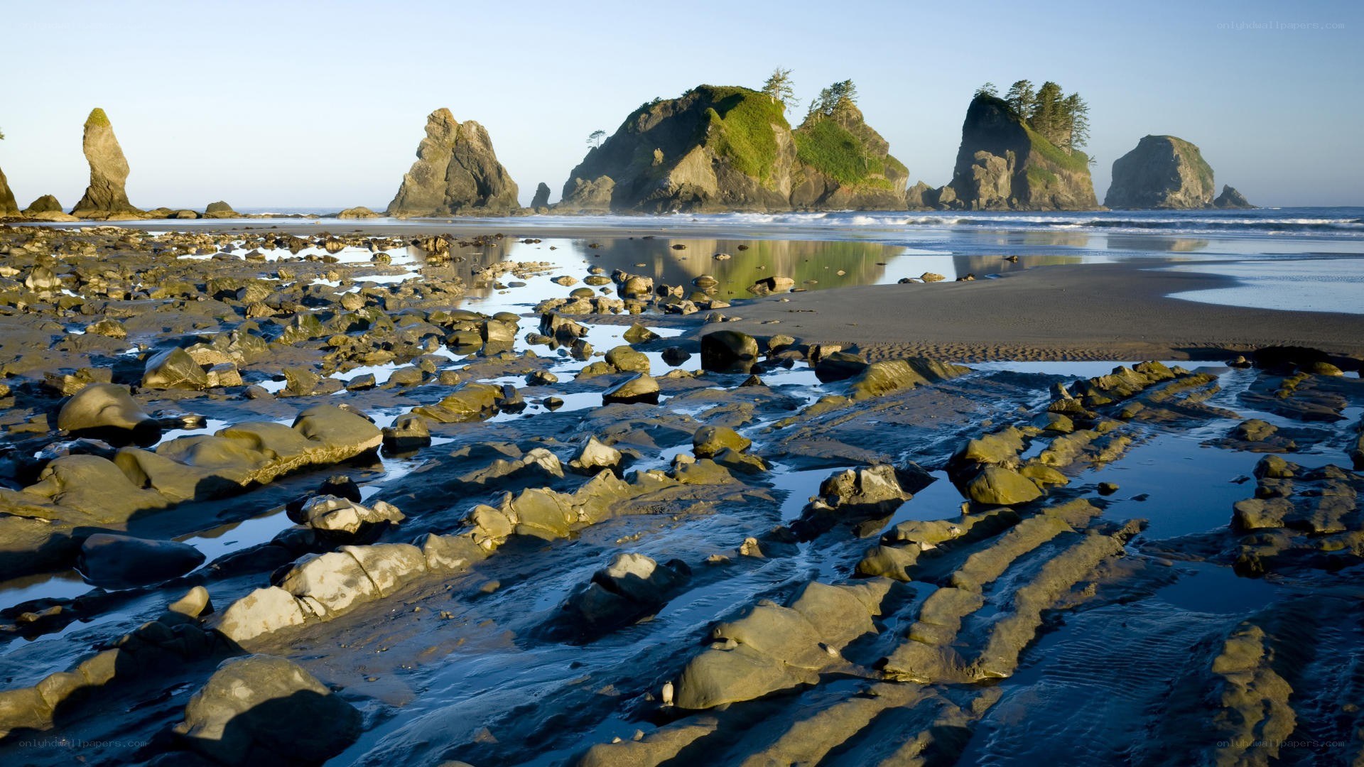 Rocky beach with sea stacks