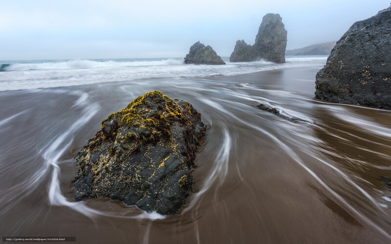 Rocky Beach with Sea Stacks — Gray, Serene