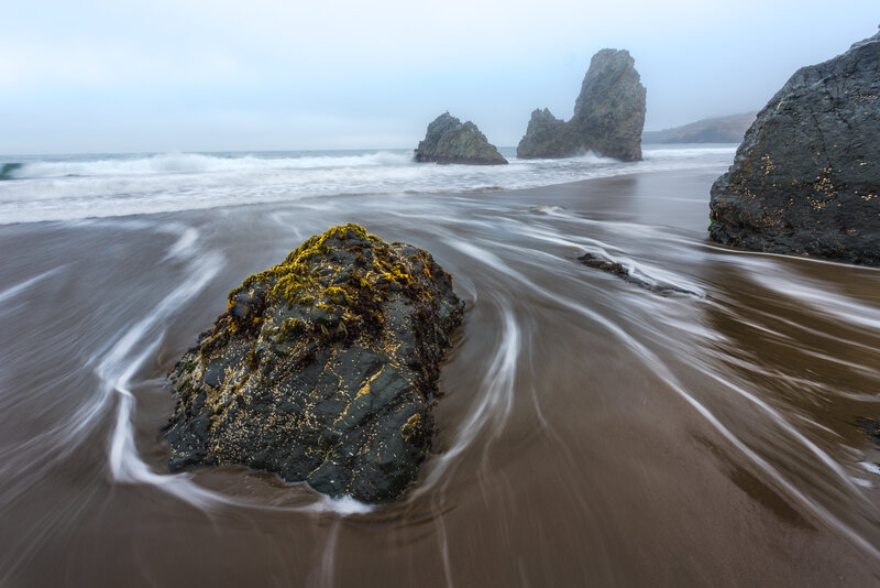 Rocky Beach with Sea Stacks — Gray
