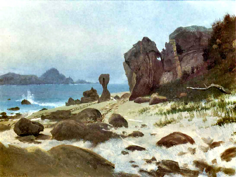Rocky Beach with Sea