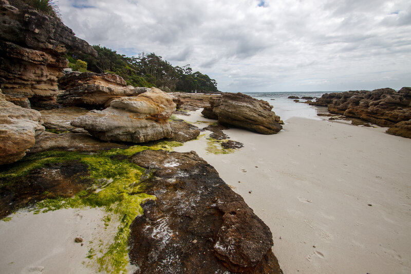 Rocky Beach with Seaweed