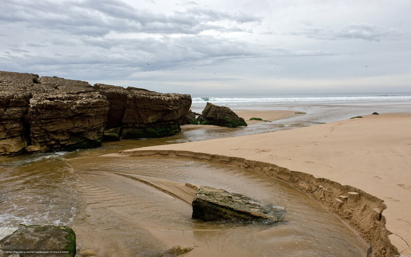 Rocky beach with stream