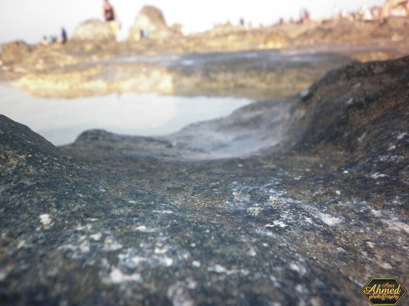rocky beach with tide pool
