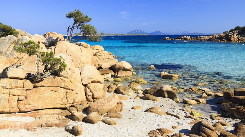 Rocky Beach with Turquoise Water — Blue, Serene, Afternoon, Photograph, Rocks, Trees