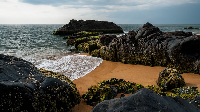 Rocky Beach with Waves — Brown