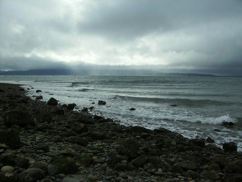 Rocky Beach with Waves — Gray