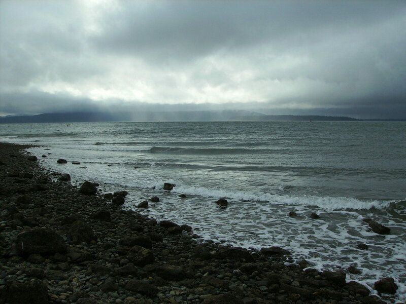 Rocky Beach with Waves