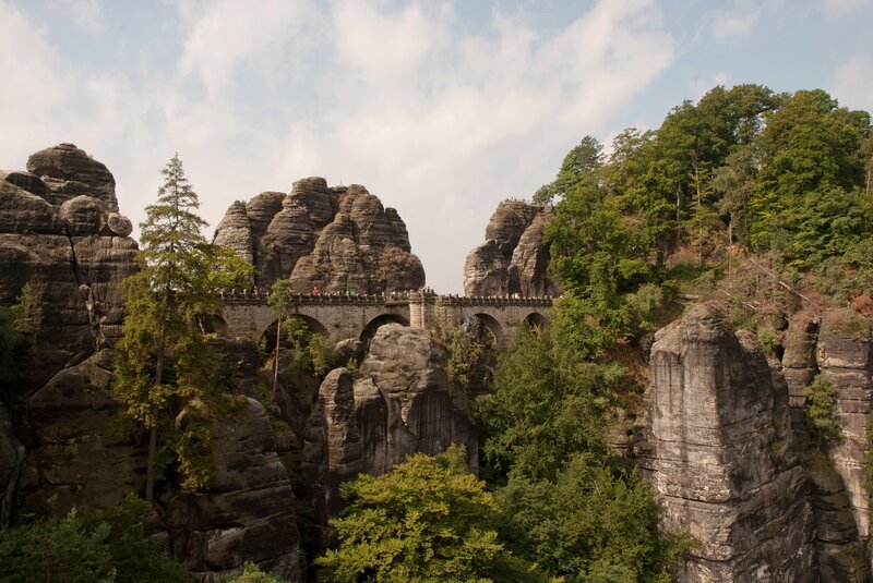Rocky Bridge in Forest — Green
