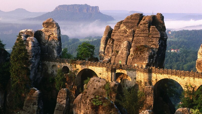 Rocky Bridge in Forest
