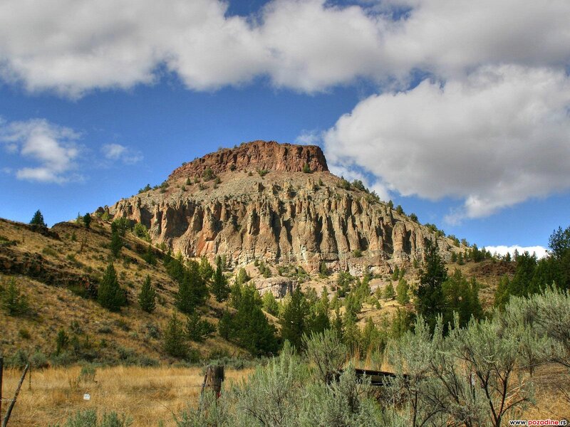 Rocky Butte with Trees