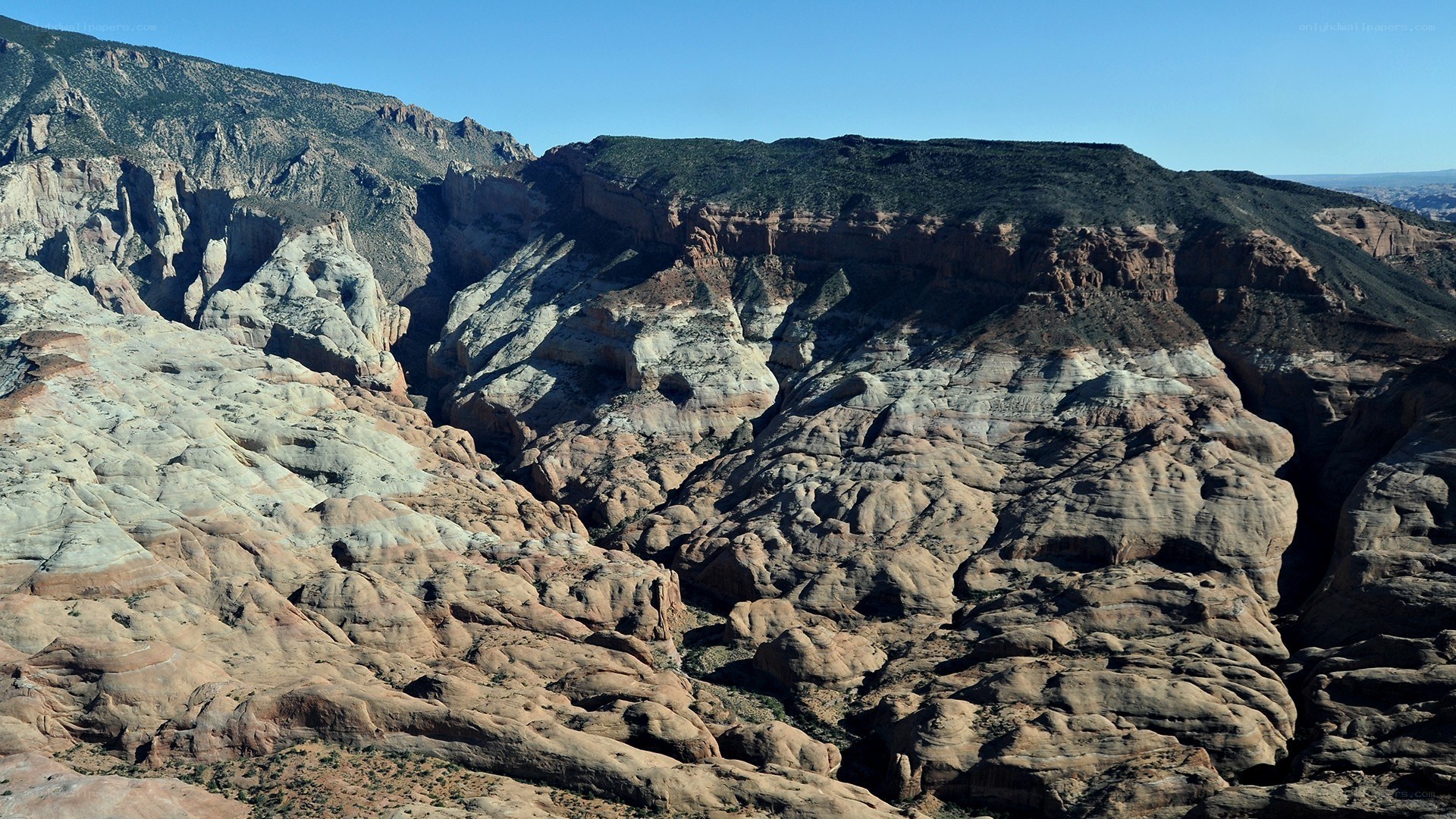 rocky canyon landscape