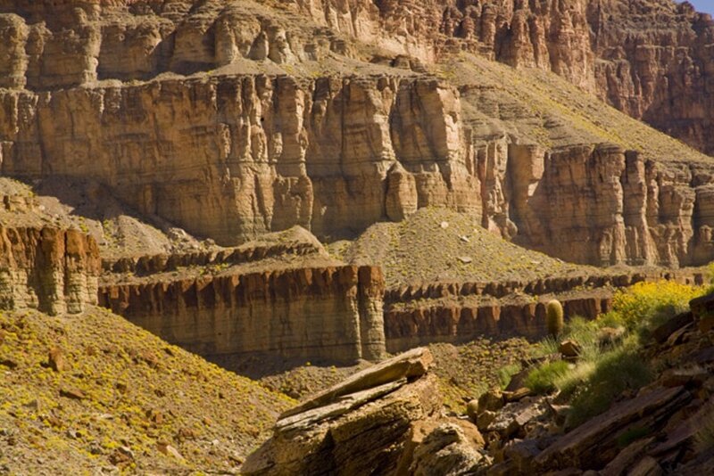 rocky canyon landscape