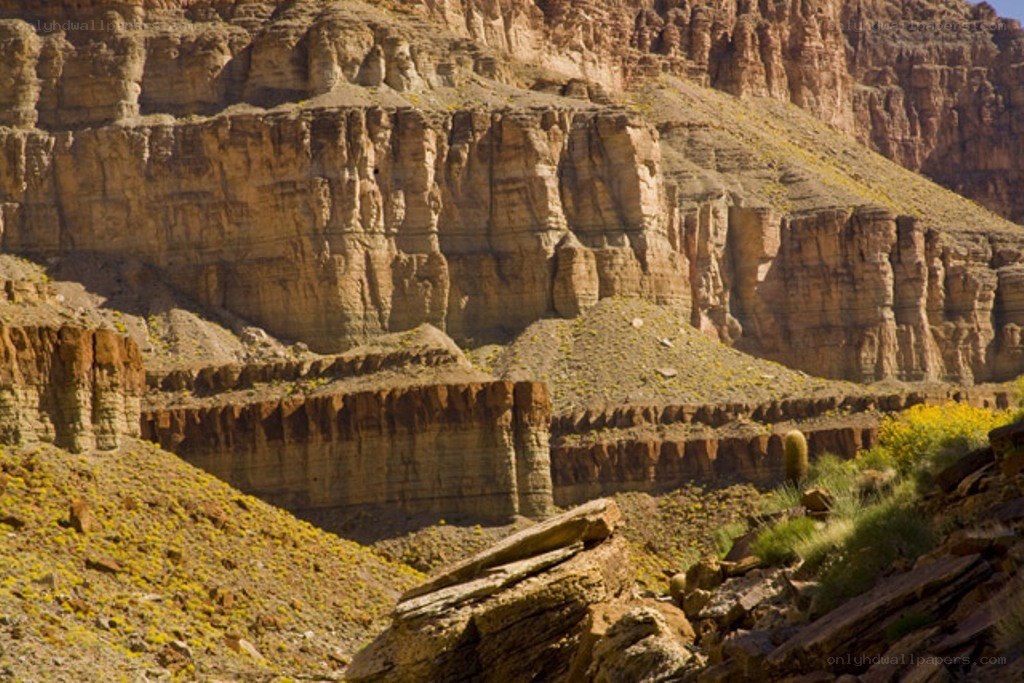 rocky canyon landscape