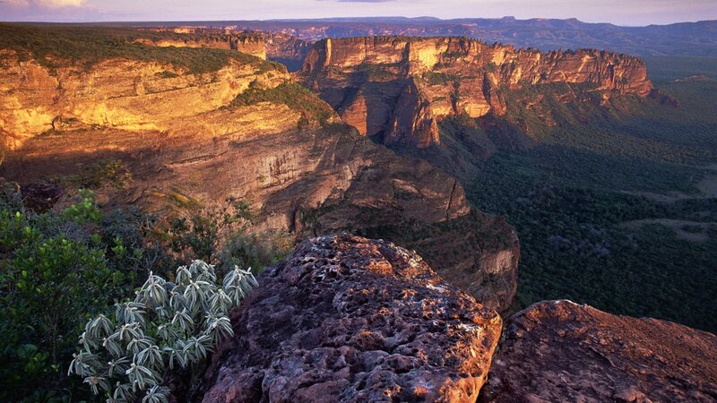 Rocky Canyon Landscape — Brown